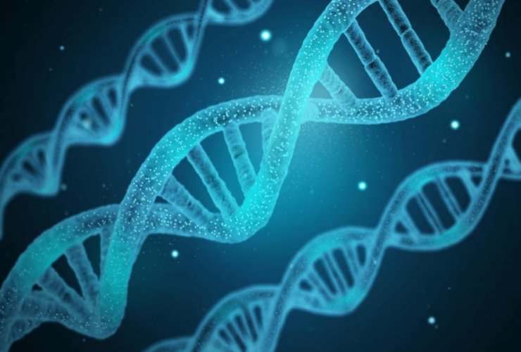 Importance of DNA Technology in Medical Practice